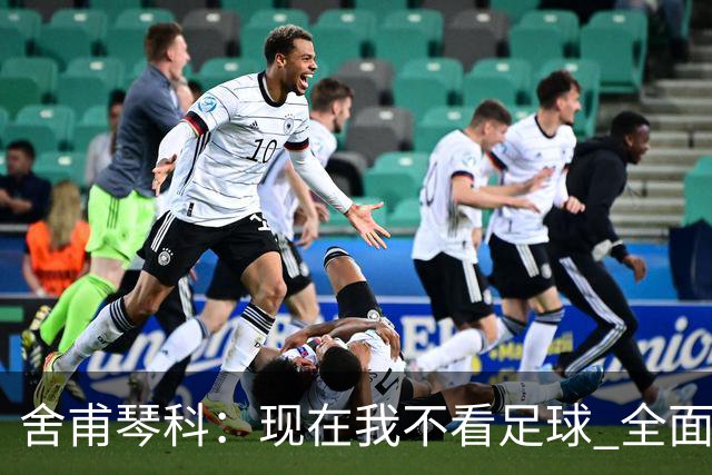 舍甫琴科：现在我不看足球 全面禁赛俄罗斯很正确